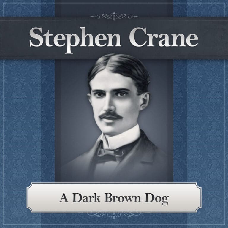 A Dark Brown Dog x